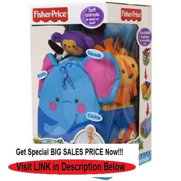 Discount Fisher-Price Rainforest Nest 'n Play Animals Review