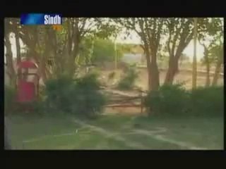 Roshan Kumar Sanu -- Mele Main Tu Tanha Tanha