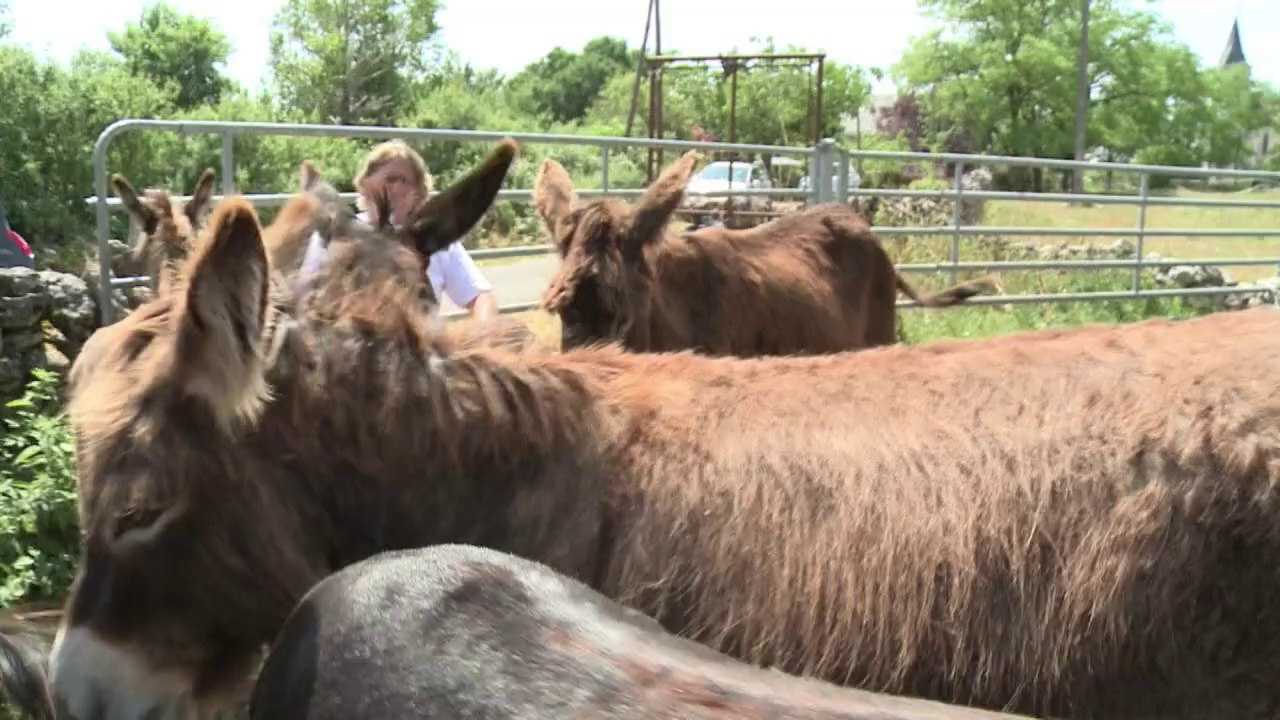 Les paysans, de plus en plus souvent des paysannes