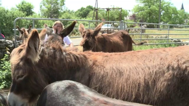 Les paysans, de plus en plus souvent des paysannes