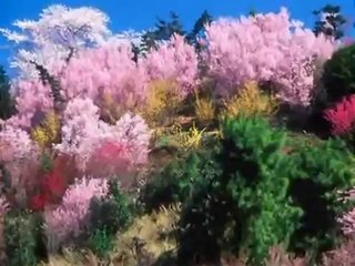 생활바카라 Ｗ Ｏ Ｗ ７ ７ ８ 。Ｃ ㅇ Ｍ 생활바카라 동영상