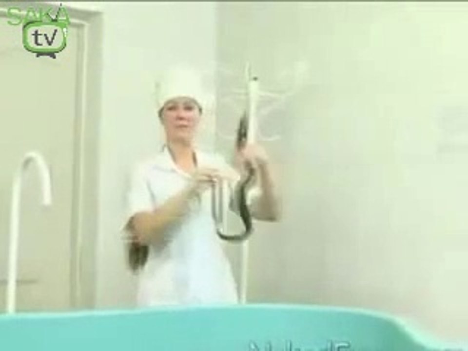 Eşşek Şakası  |  Eşşek Şakaları