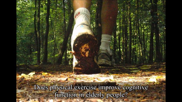 Psychology: Training Intelligence via Sports? (Aerobic Exercise, Coordination Training, Dancing, Executive Functions, Working Memory)