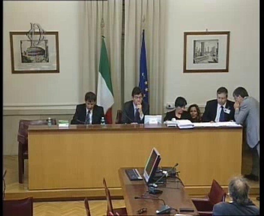 Roma - Coltivazione della vite e produzione del vino, audizione Vaccari (03.07.14)