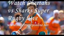 Watch Sharks vs Cheetahs Online