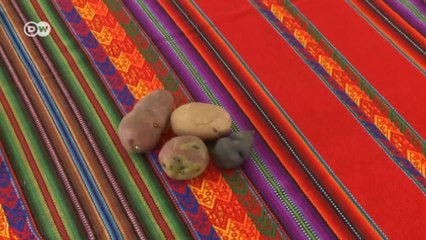 Peru: Das wahre Gold der Inka | Global 3000