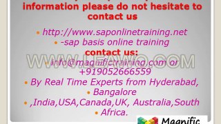 SAP BASIS Online Training and Placement in USA_3