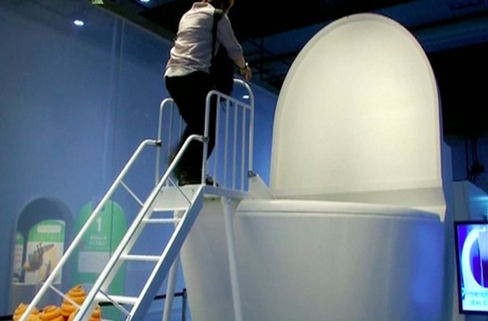 Une exposition sur les toilettes au Japon - ZAPPING ACTU HEBDO DU 05/07/2014