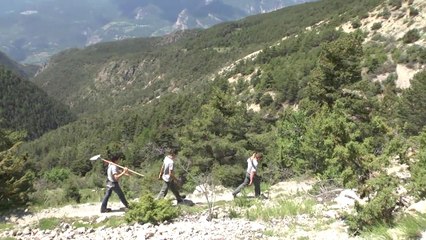 Zoom sur le travail des agents de la Communauté de communes du Guillestrois