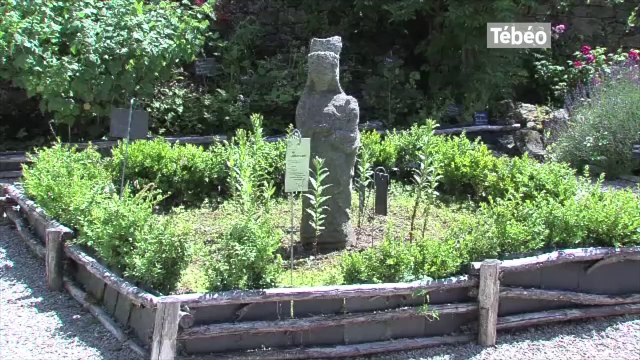 Landévennec (29). Des moines et des plantes de Charlemagne à Anne de Bretagne à l'ancienne abbaye