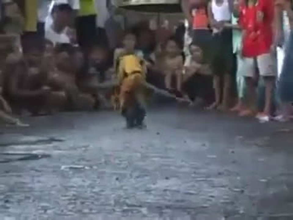 monky