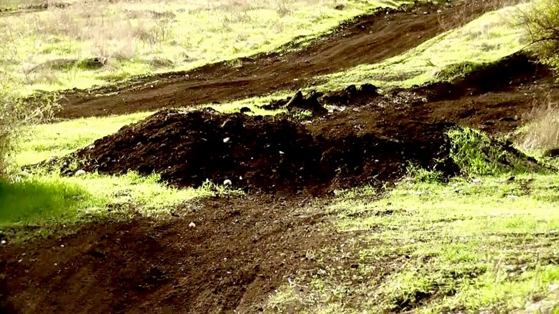 Circassian MX 2012