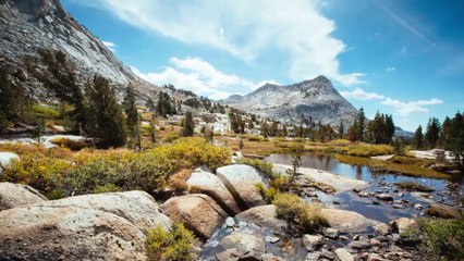 MrPavlov - Взлететь в небеса (2014)