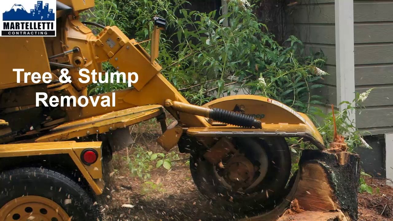 Tree Removal Perth