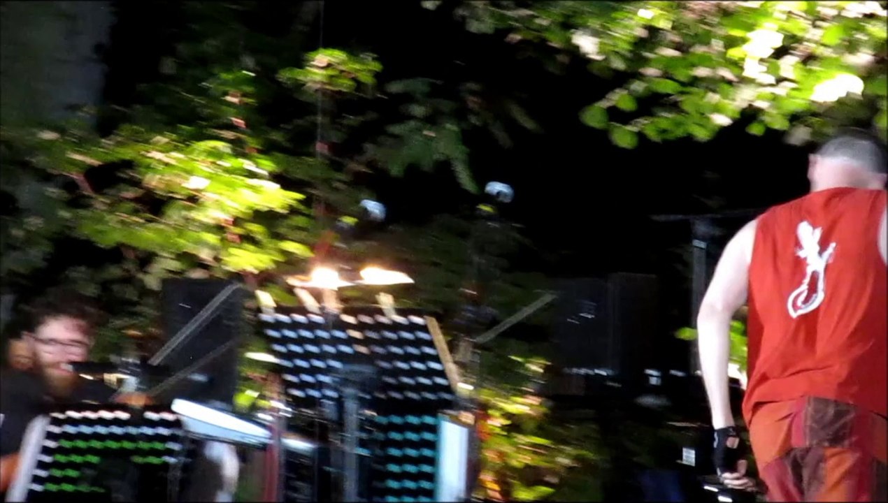 MEDERIC COLLIGNON - KING CRIMSON IN JAZZ