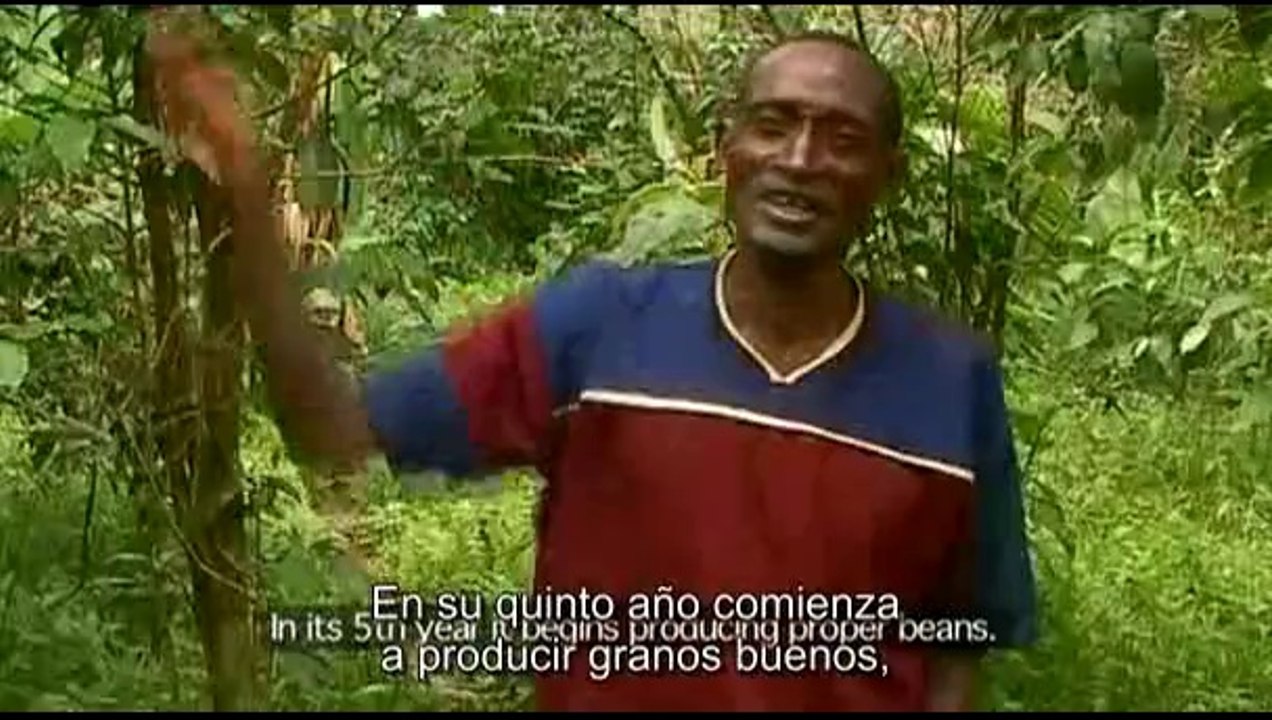 Oro negro