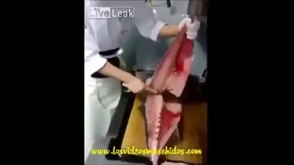 OMG - What hell is this ??