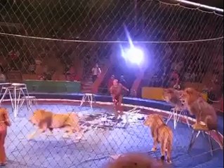 When the animals decide they won't be serving these shit people any more.