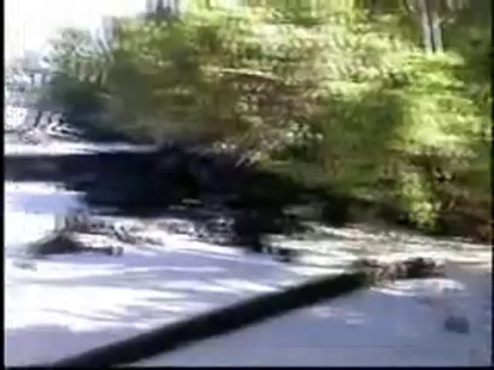 hotels accommodation in samoa