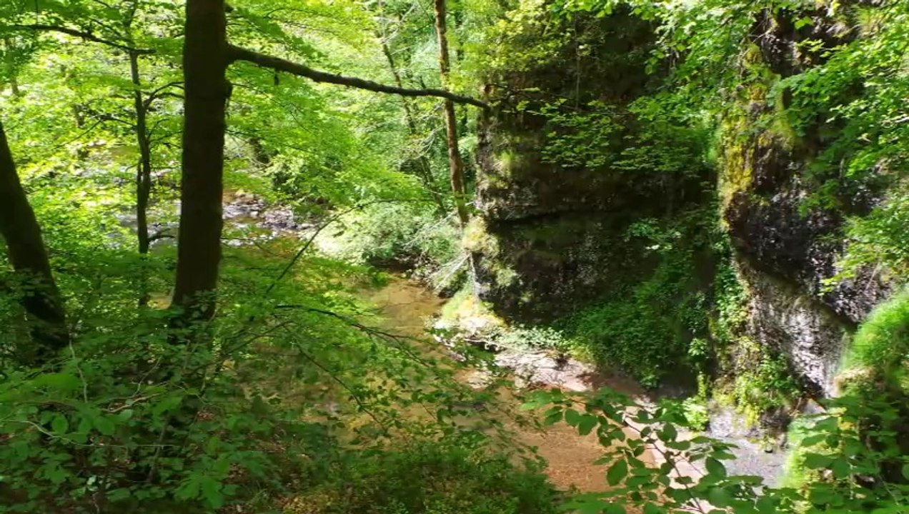 Gorges de la Jordanne et Cirgues de Jordanne Circuit Auvergne Mai 2014