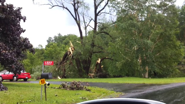 July 3, 2014 7/3/14 7-3-14 New York severe thunderstorm damage similar to hurricane Arthur damage