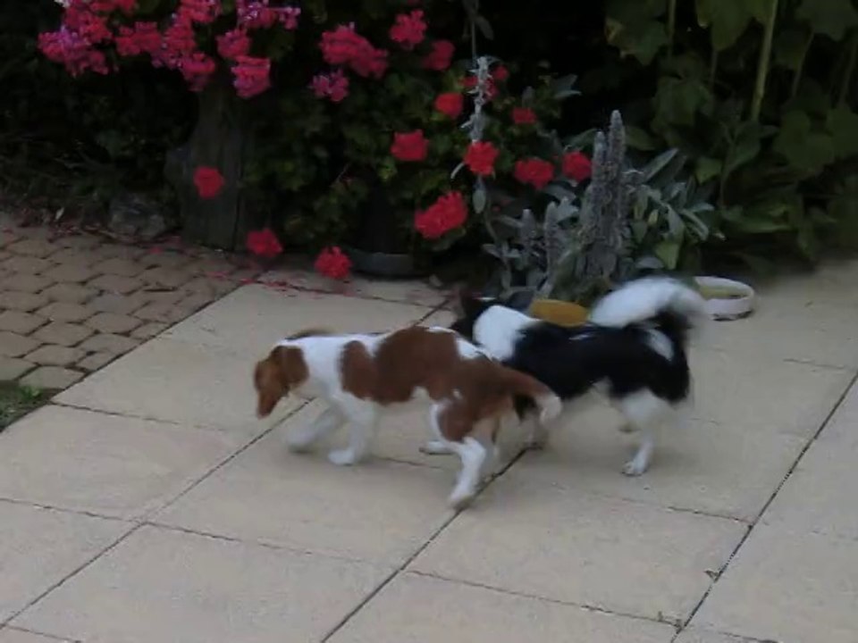 Juliane et son copain Helliot