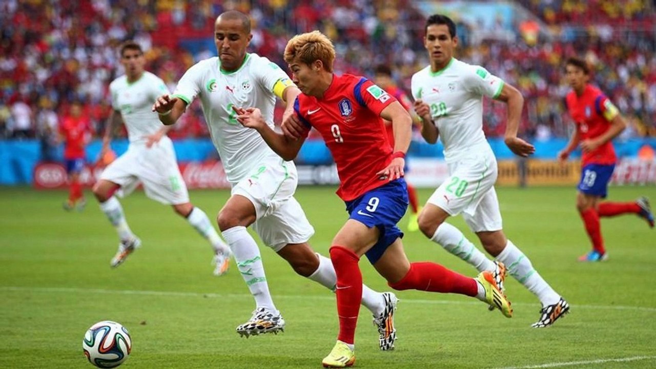 Merçi les Verts