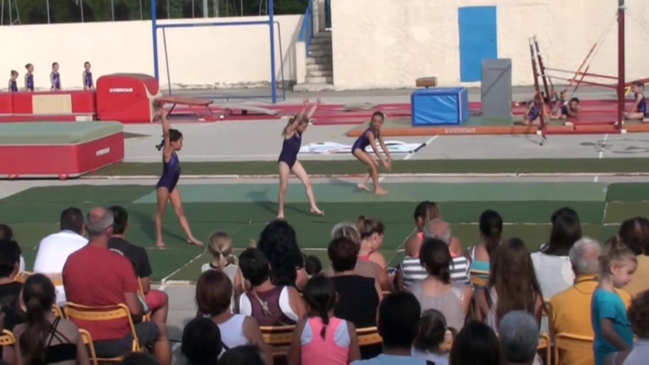 Gala 2014 : Démonstration GAF - Poussines