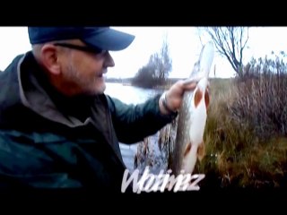Fishing for pike in the lake on automatically armed ripper