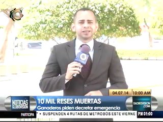 Ganaderos piden decretar emergencia en Zulia y Falcón