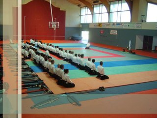 Stage d'Aïkido traditionnel à Vieux Boucau avec Alain Peyrache Shihan