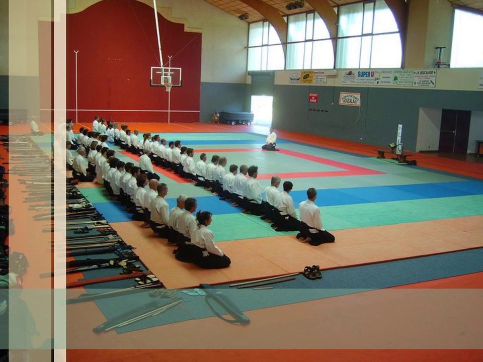 Stage d'Aïkido traditionnel à Vieux Boucau avec Alain Peyrache Shihan