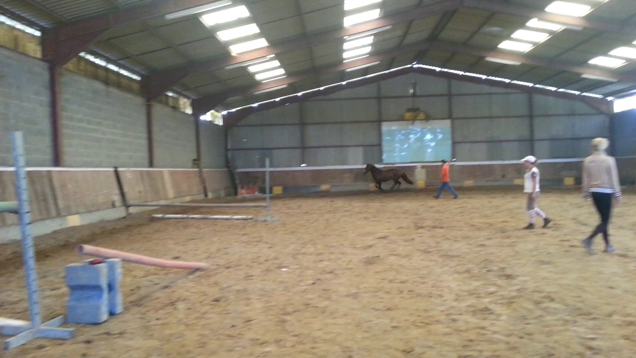 Apiroise Milin-Riant