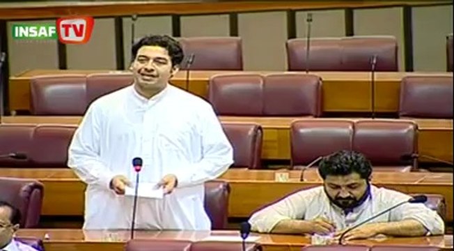PTI Qaisar Jamal Afridi's speech on Budget in National Assembly (June 16, 2014)