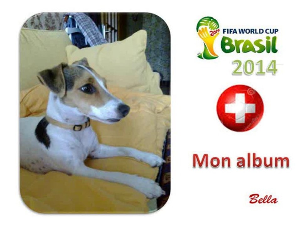 BELLA_COUPE_DU_MONDE_DE_FOOTBALL_BRESIL_2014