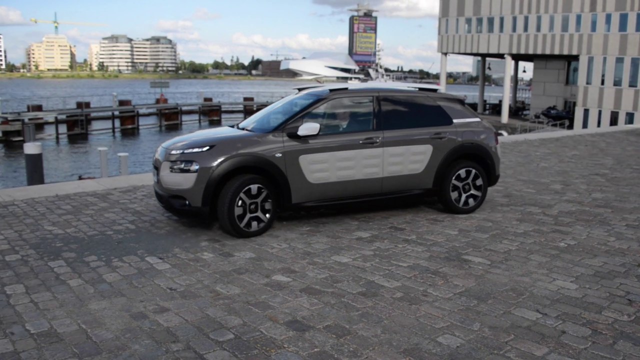 Essai C4 Cactus by diisign