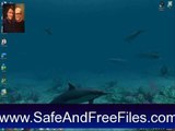 Download Shark Water World 3D Screensaver 1.5.3.3 Serial Number Generator Free
