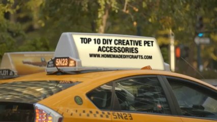 Top 10 DIY Creative Pet Accessories