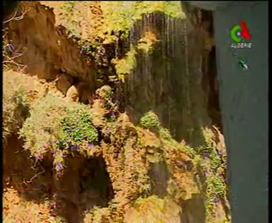 Algerie,Tissemssilt,parc des cèdres tourisme de montagne