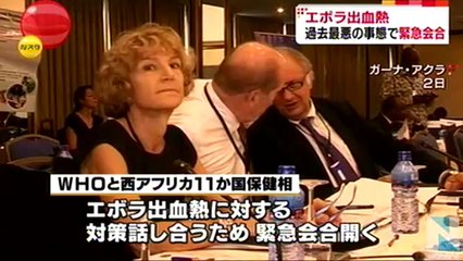 14 07 04 tube TBS エボラ出血熱で緊急対策会合、死者４６７人に (Low)