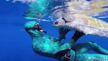 Diver Saves Sea Turtle stangled in rope and about to die!