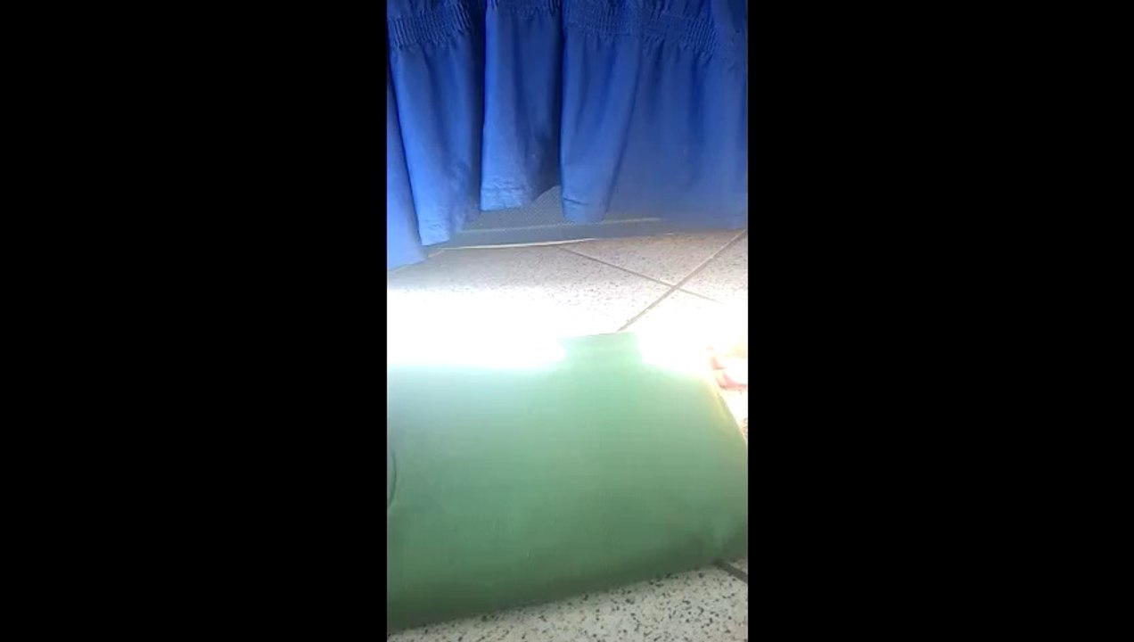 Video da Hanna Carol INA
