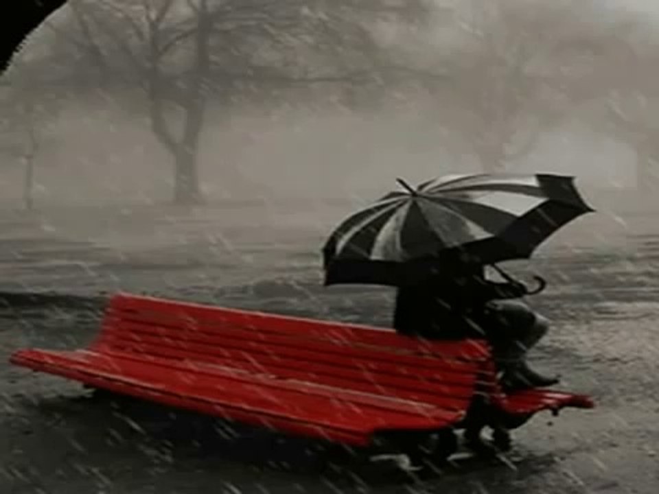 Gorgeous Rain and the sound of the violin -(Muhteşem  Yağmur ve Keman sesi