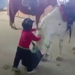 At'a Nasıl Binilir? :)