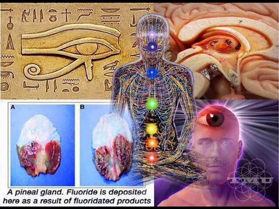 Trumpet Hip Hop Type Beat [prod. AsaFoBMP]