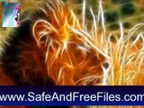 Download Wild Animal Screensaver 1.0 Product Number Generator Free