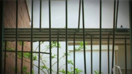 TV3 - 33 recomana - Jornades Catalunya llibertat i dignitat. Girona
