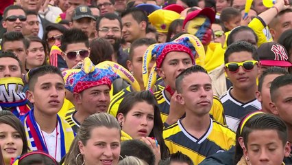 Torcedores e jogadores colombianos culpam juiz