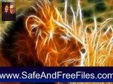 Download Wild Animal Screensaver 1.0 Serial Number Generator Free