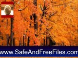 Download Thanksgiving Forest screensaver for Serial Code Generator Free